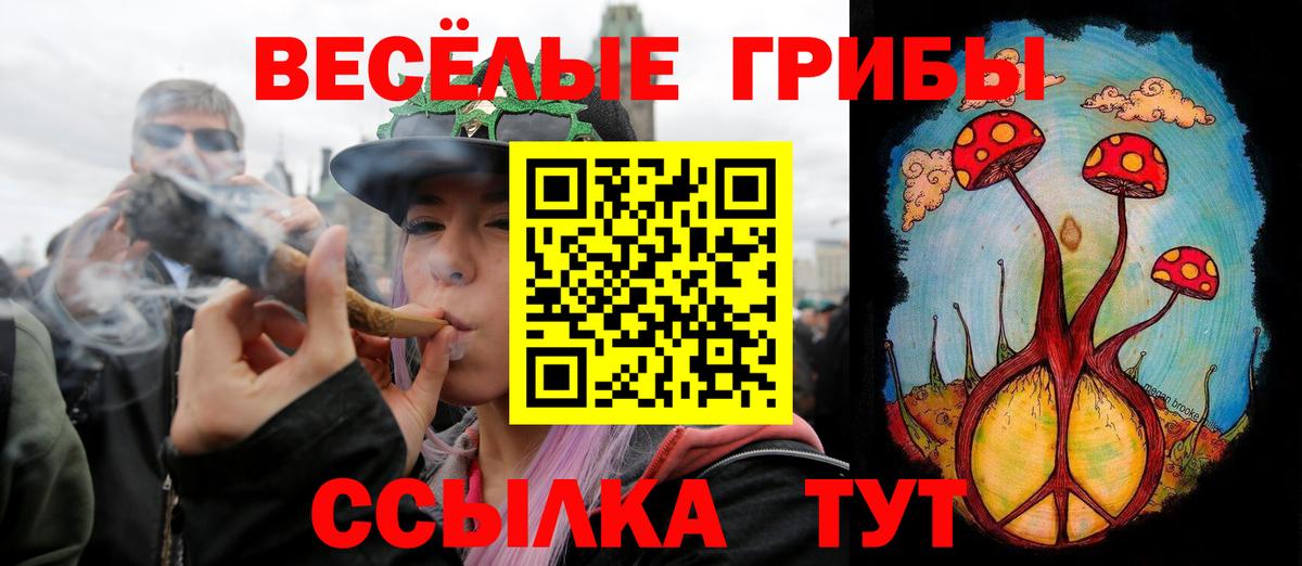 Псилоцибиновые грибы MAGIC MUSHROOMS  Вход с VPN  Нижний Новгород 